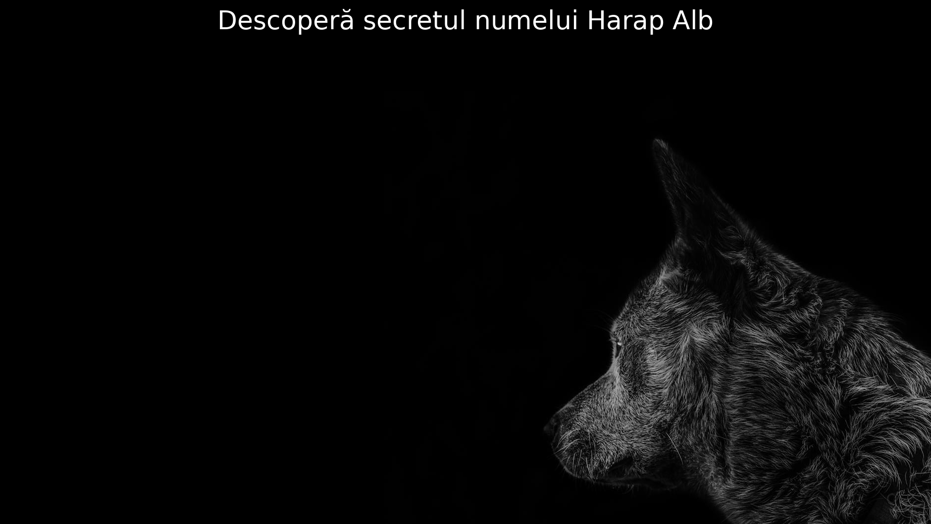Descoperă secretul numelui Harap Alb
