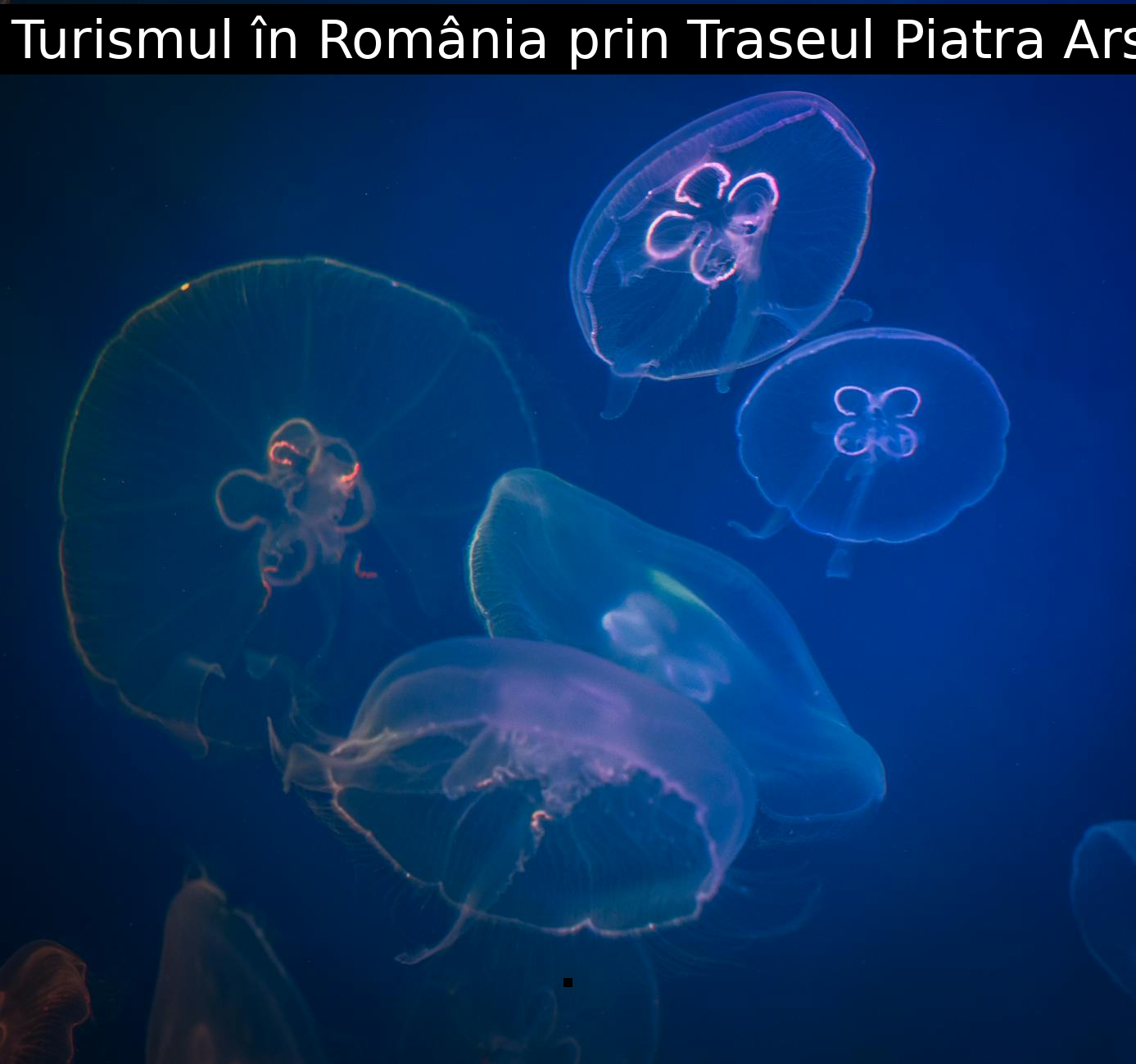 Descoperă Turismul în România prin Traseul Piatra Arsă VF Omul