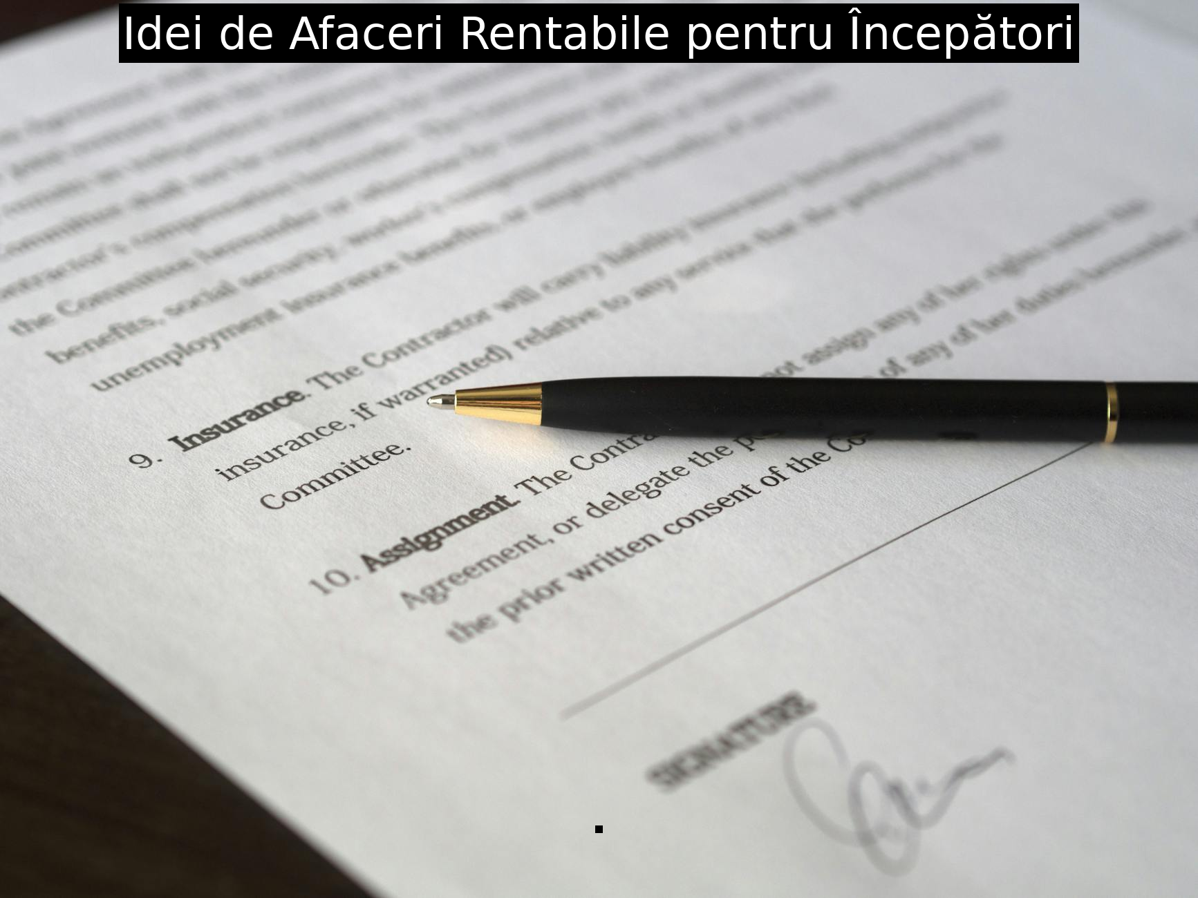 Idei de Afaceri Rentabile pentru Începători