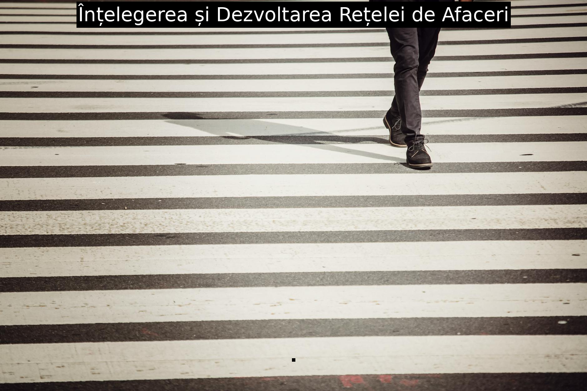 Înțelegerea și Dezvoltarea Rețelei de Afaceri