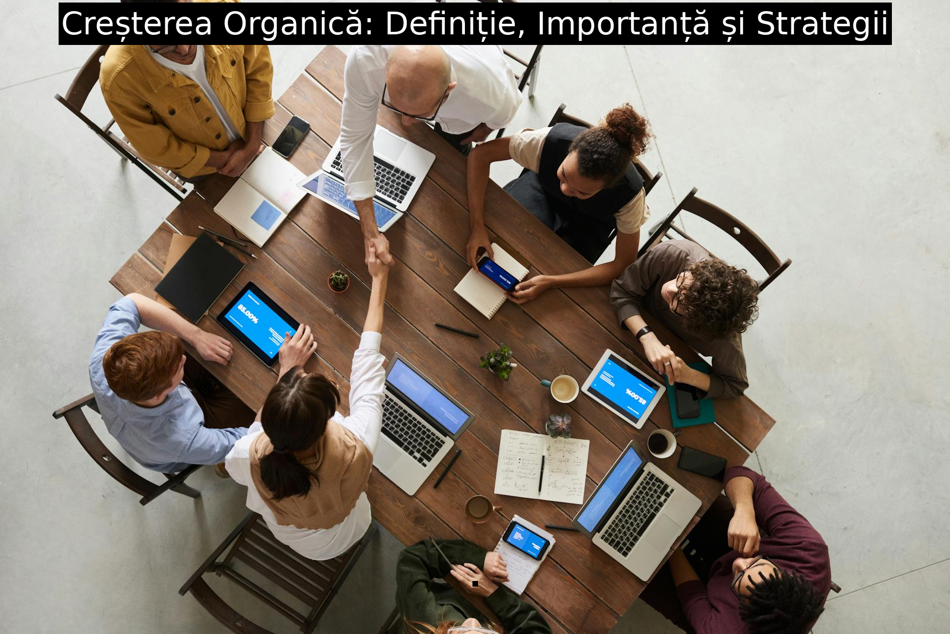 Creșterea Organică: Definiție, Importanță și Strategii