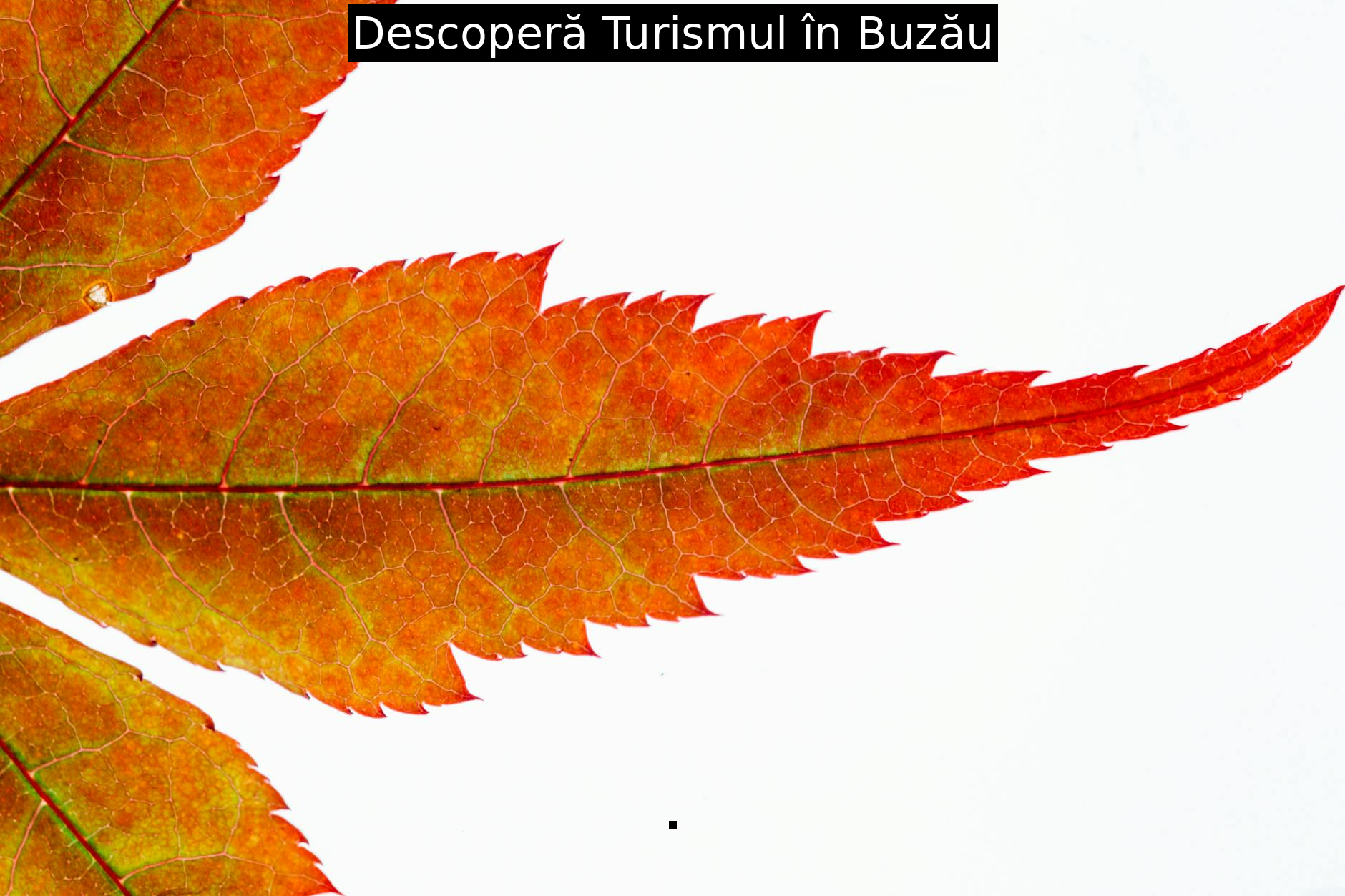 Descoperă Turismul în Buzău