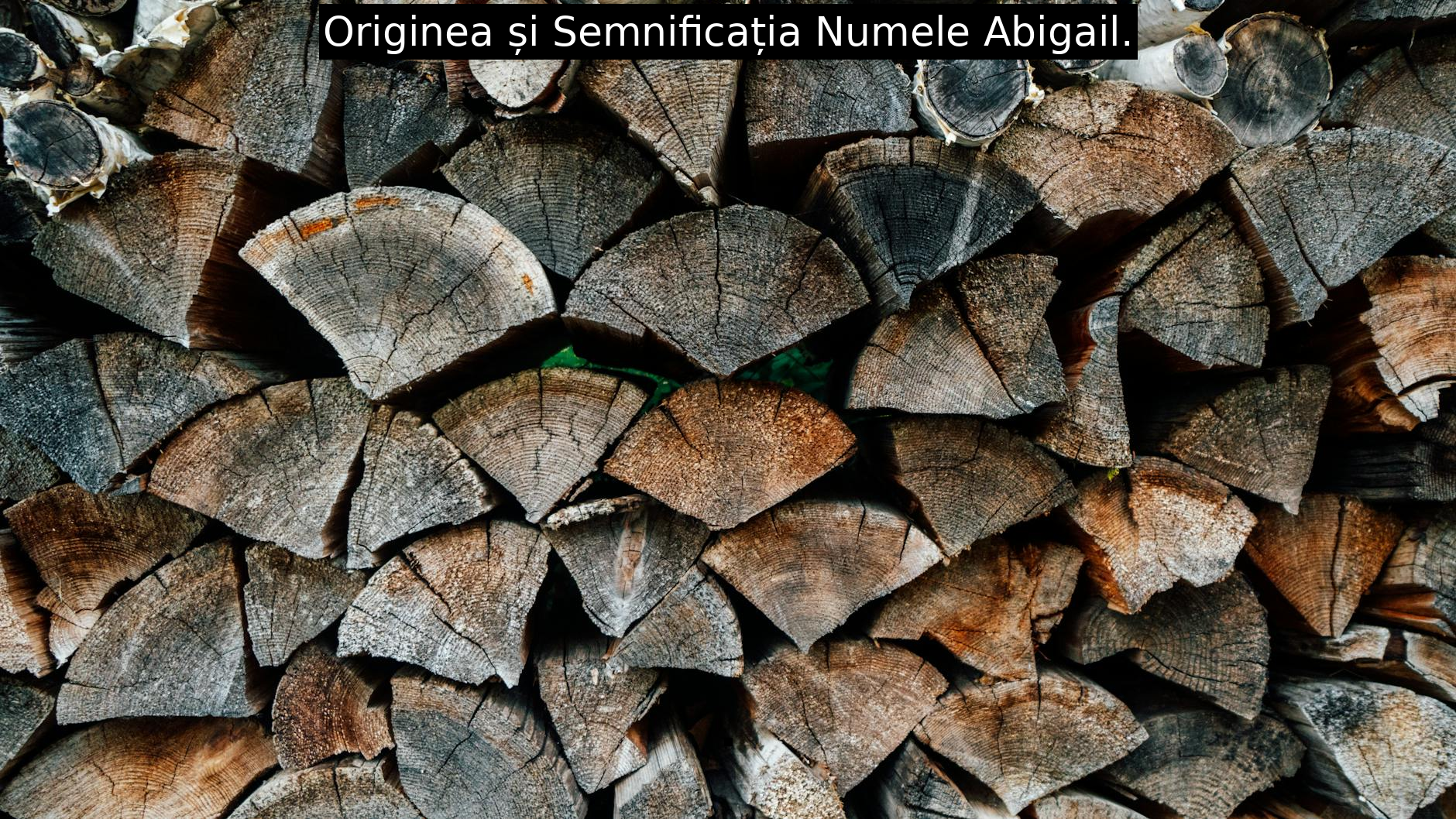 Originea și Semnificația Numele Abigail.